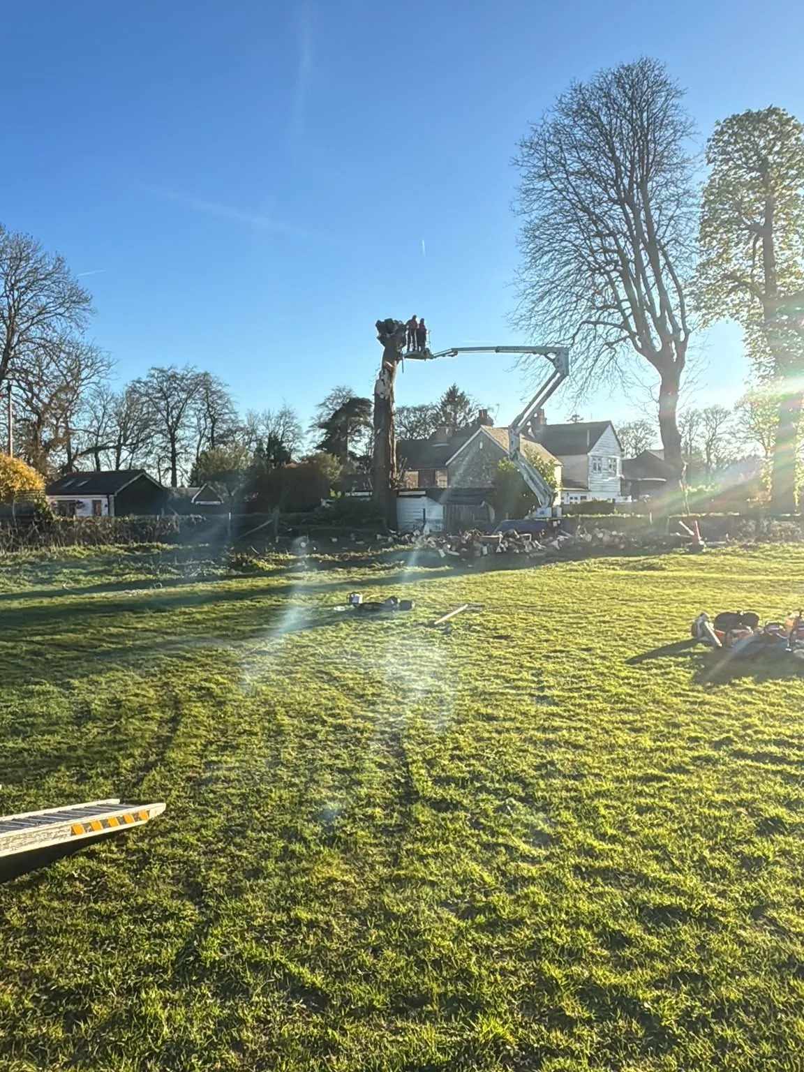 Cherry picker reducing a tree to its trunk across a sunlit lawn