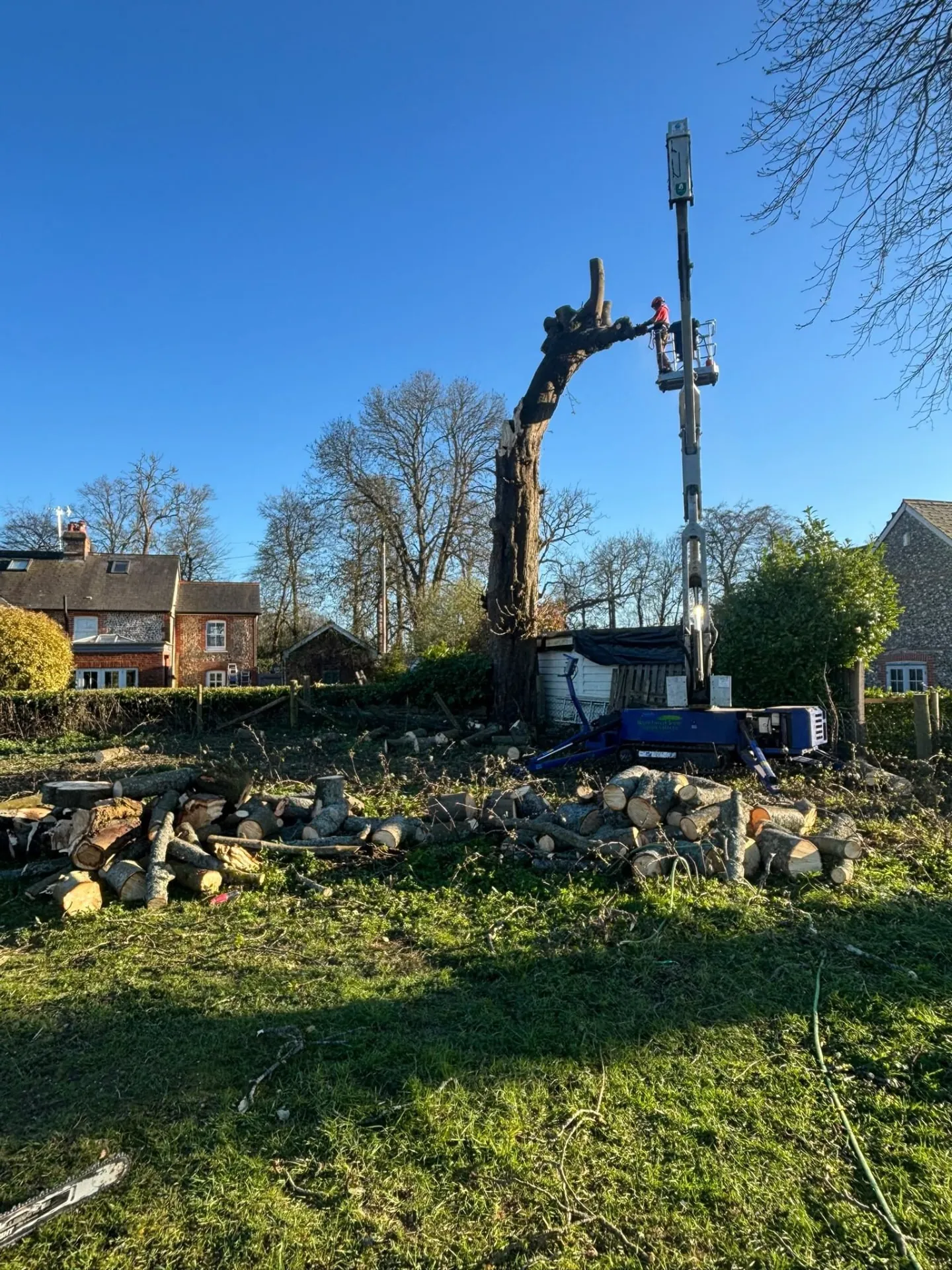 Tree trunk dismantled from a boom lift with timber stacked on the grass