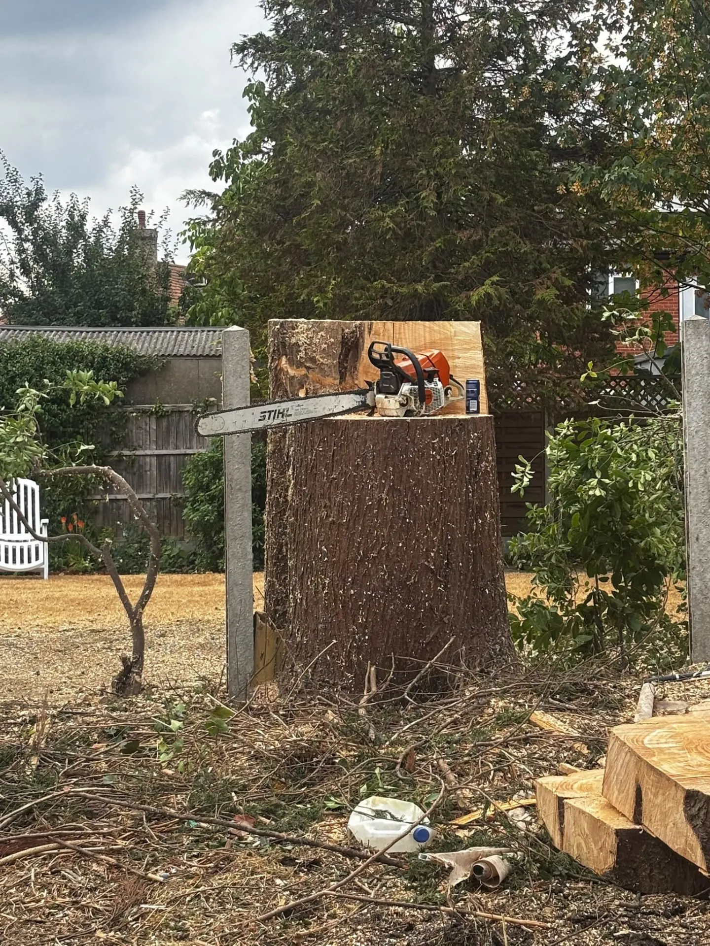 Stihl chainsaw resting on a large cut tree stump after felling