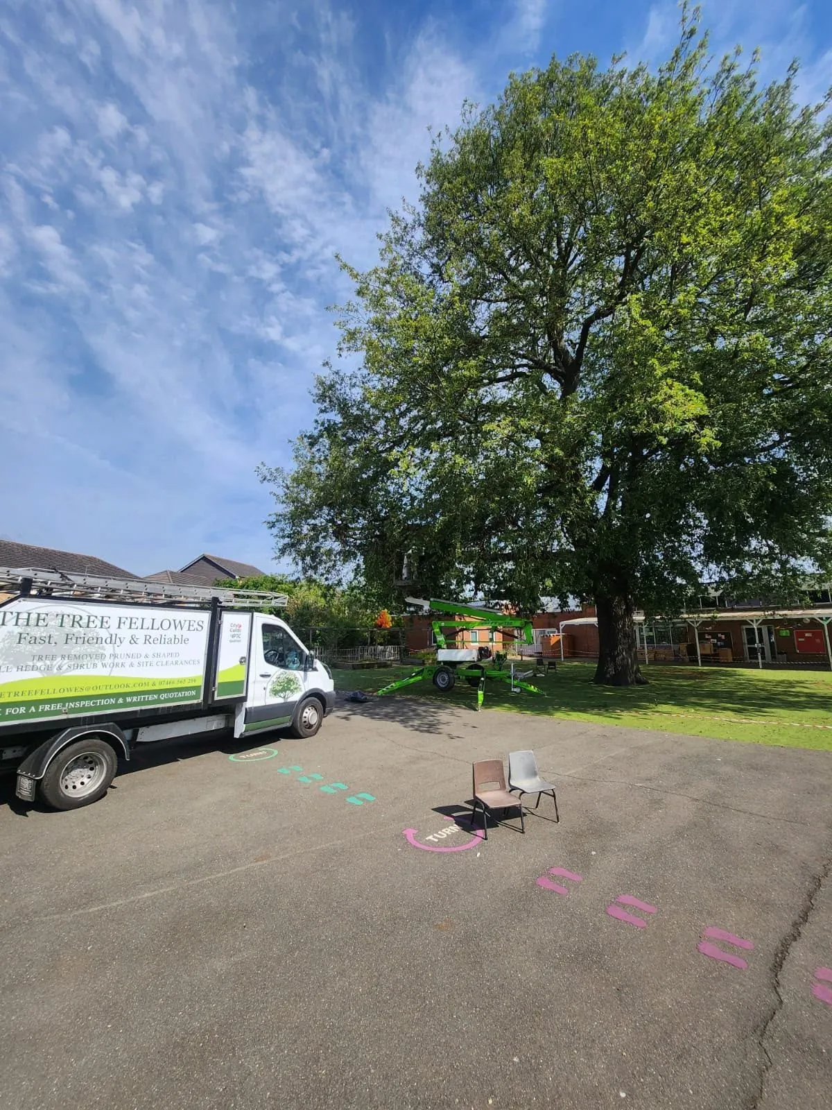 The Tree Fellowes van on a commercial site beside a large mature tree